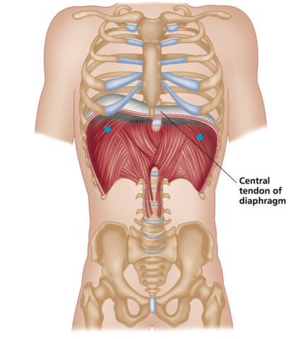 Points de déclenchement du diaphragme