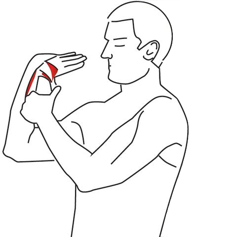 Opponens Policis Stretch Trigger Points